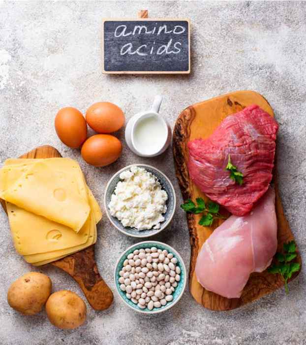7 fuentes dietéticas de aminoácidos y sus beneficios